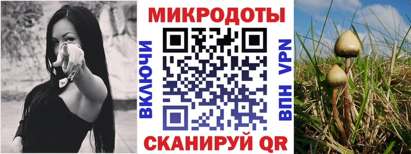 Псилоцибиновые грибы GOLDEN TEACHER Купить где Каменка
